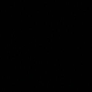 Meet your Posher, Edgar